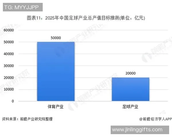 中国足球注册人口现状分析与发展趋势探讨